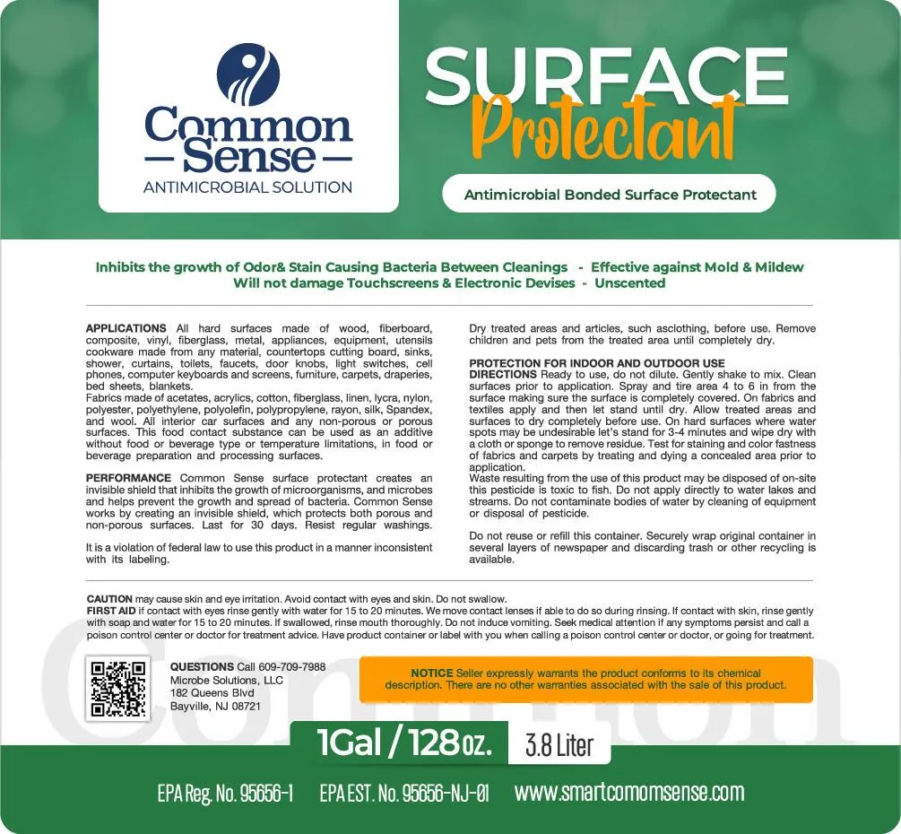 Surface Protectant Coating by Common Sense - Image 4