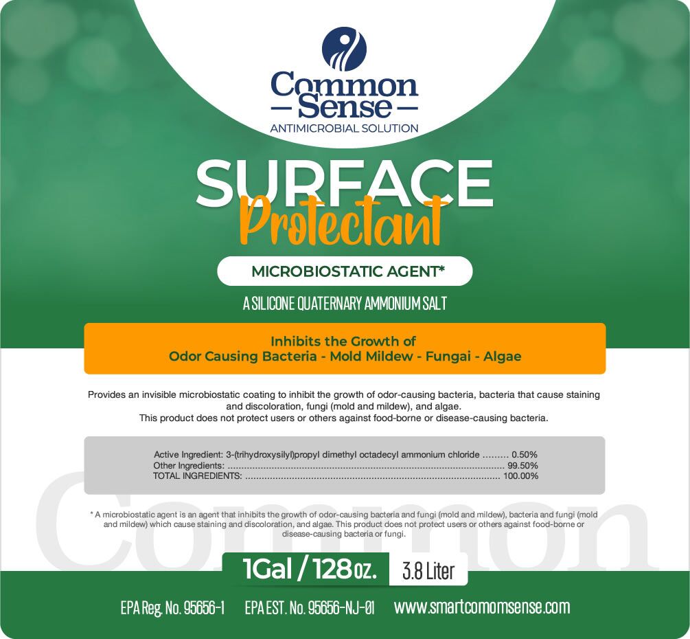 Surface Protectant Coating by Common Sense - Image 3