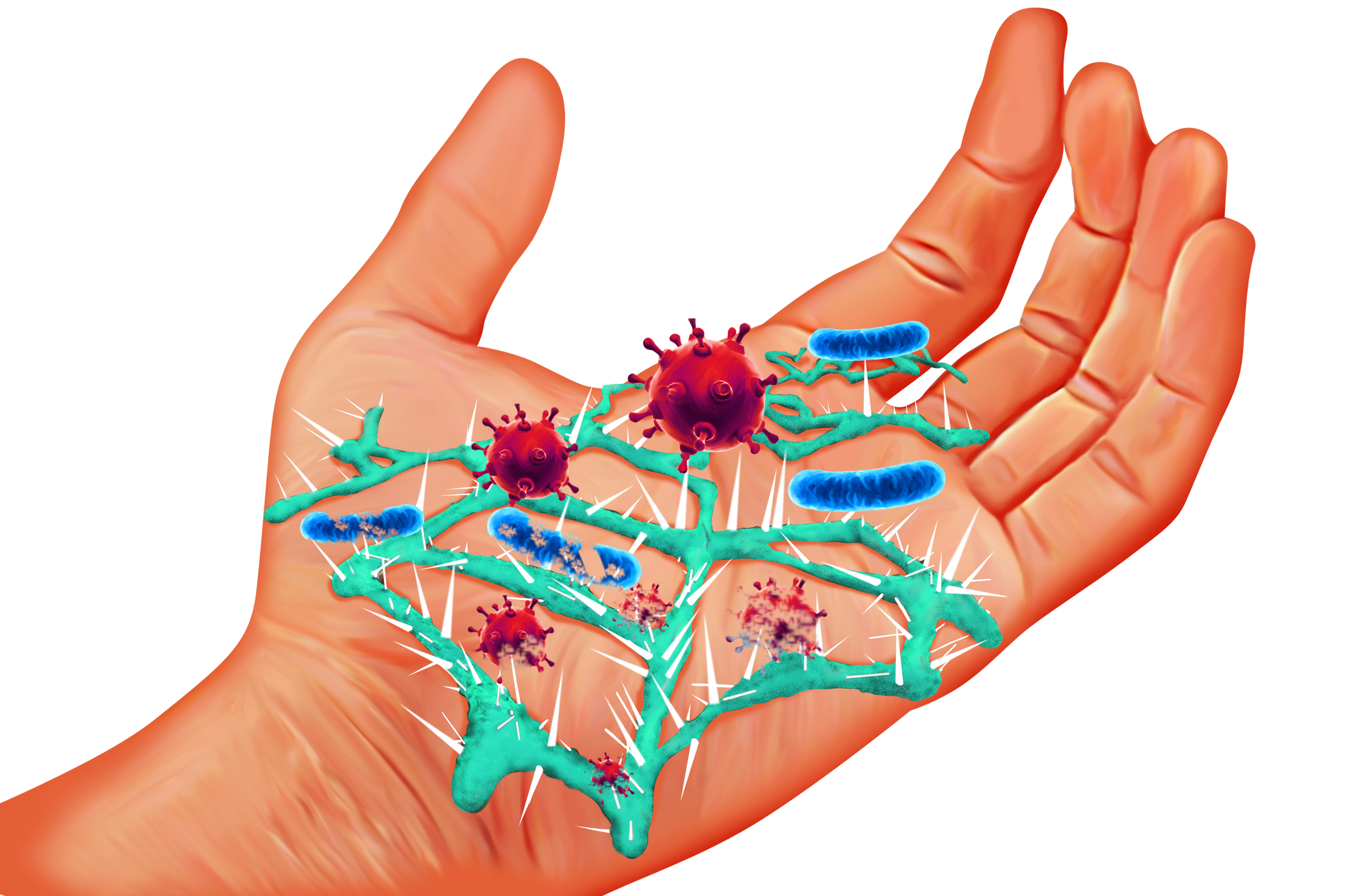 Common Sense Hand Sanitizer