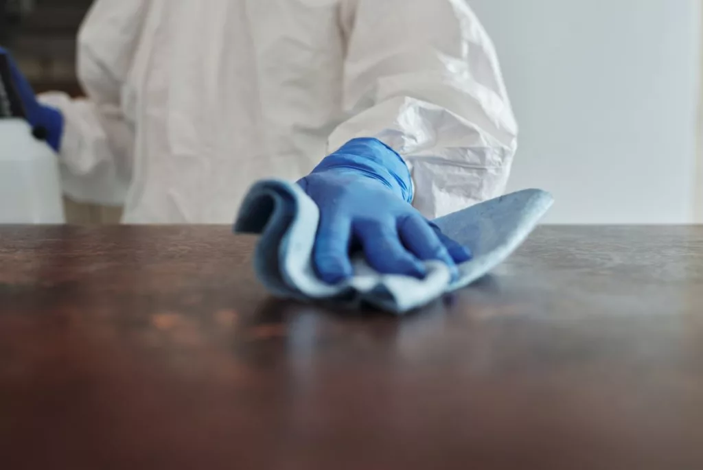 clean surfaces and protect them from microbes