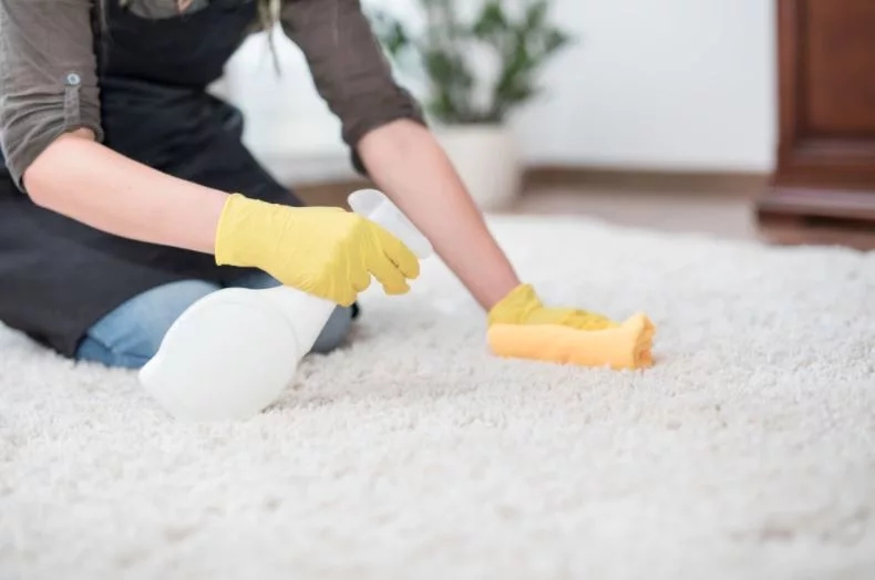 Carpet Disinfectant Spray: A Non-Toxic Solution for Sanitizing Carpet