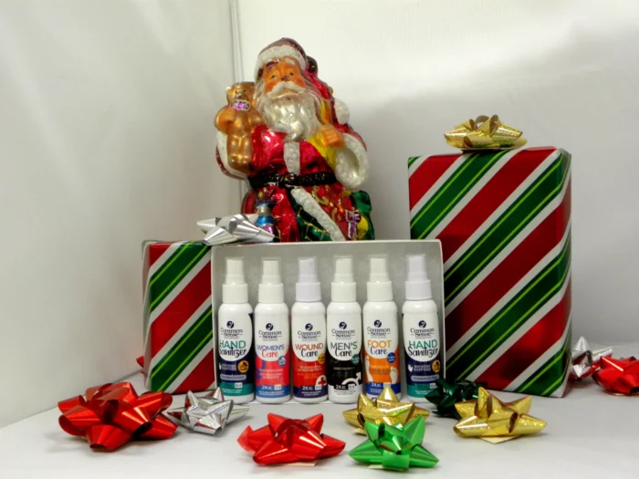 Common Sense Christmas Bundle All Products Gift Wrapped!